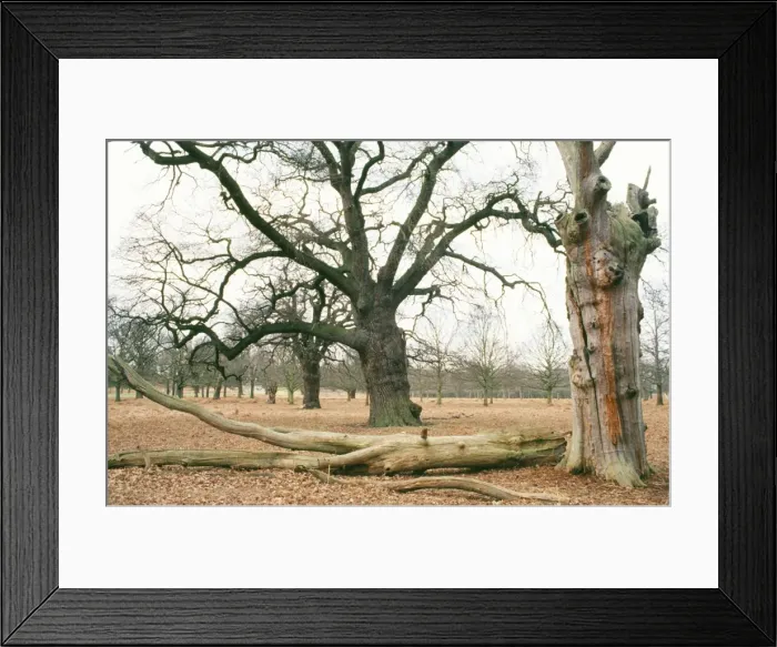 Framed Print : Picture No. 10760522 Framed Print : Picture No. 10760522