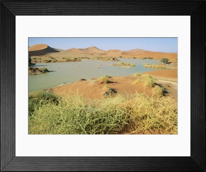 Framed Print : Picture No. 10760541