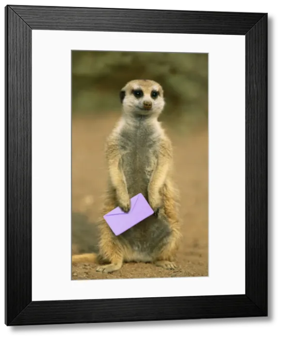 Framed Print : Picture No. 10760557 Framed Print : Picture No. 10760557