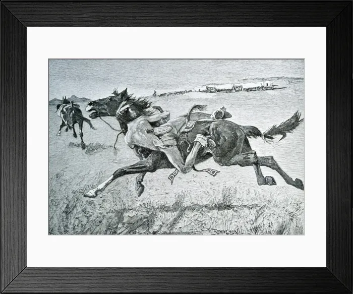 Framed Print : Picture No. 10760441 Framed Print : Picture No. 10760441
