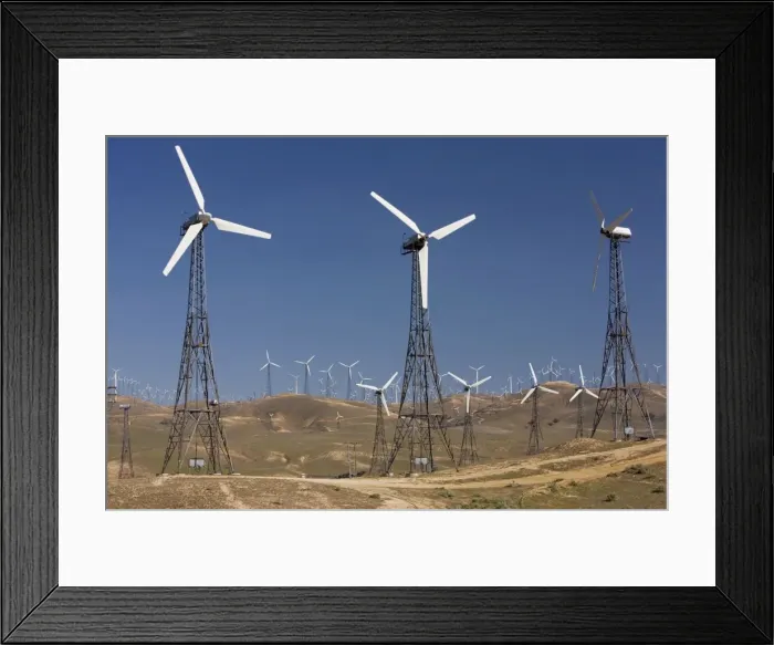 Framed Print : Picture No. 10756491 Framed Print : Picture No. 10756491