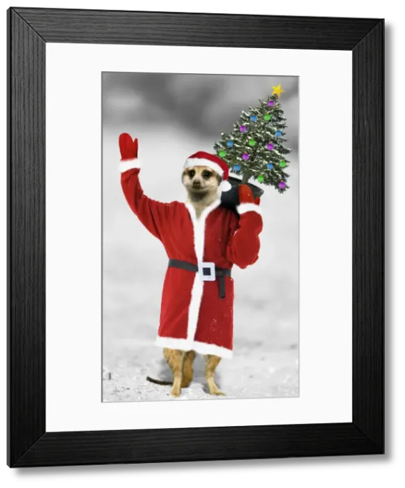 Framed Print : Picture No. 10760553 Framed Print : Picture No. 10760553