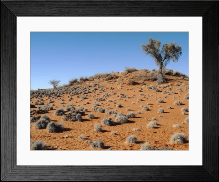 Framed Print : Picture No. 10761254 Framed Print : Picture No. 10761254