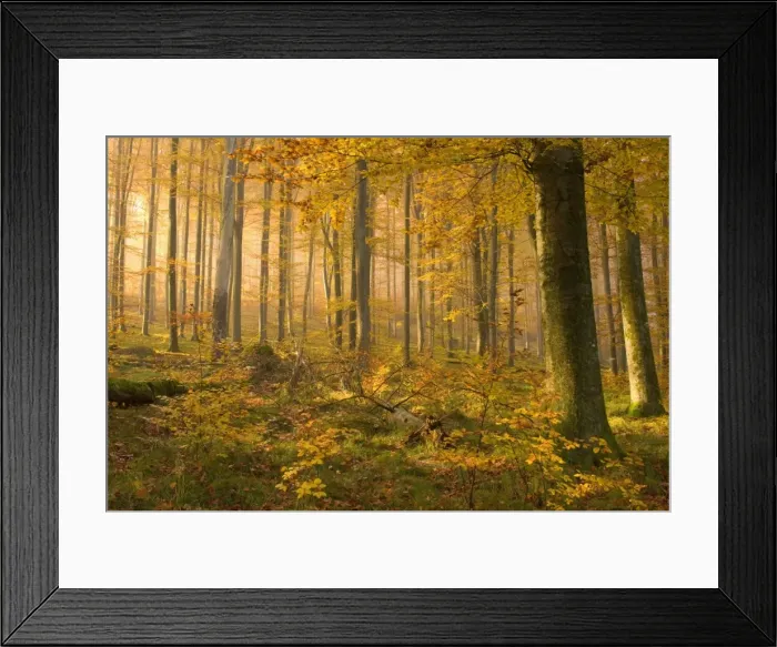 Framed Print : Picture No. 10758092 Framed Print : Picture No. 10758092
