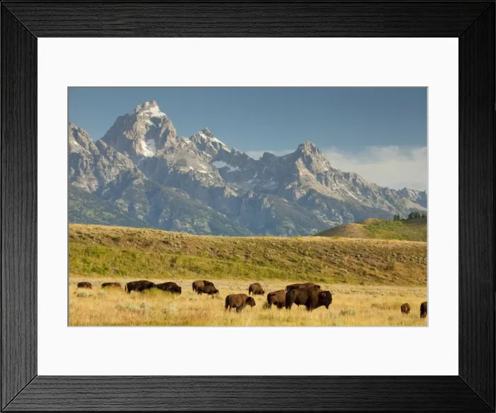 Framed Print : Picture No. 10756370 Framed Print : Picture No. 10756370