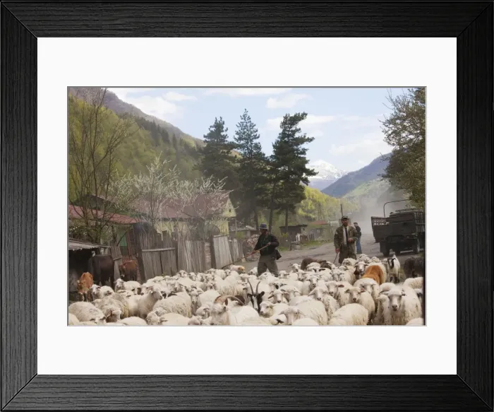 Framed Print : Picture No. 10756528 Framed Print : Picture No. 10756528