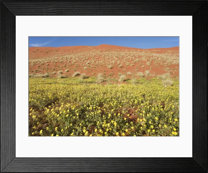 Framed Print : Picture No. 10761279 Framed Print : Picture No. 10761279