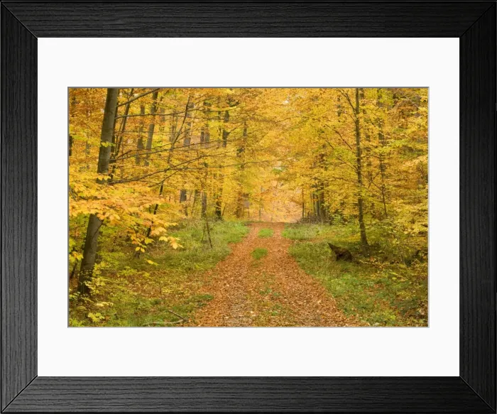 Framed Print : Picture No. 10758085 Framed Print : Picture No. 10758085