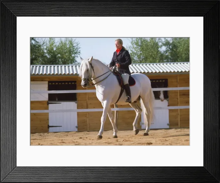 Framed Print : Picture No. 10760517 Framed Print : Picture No. 10760517