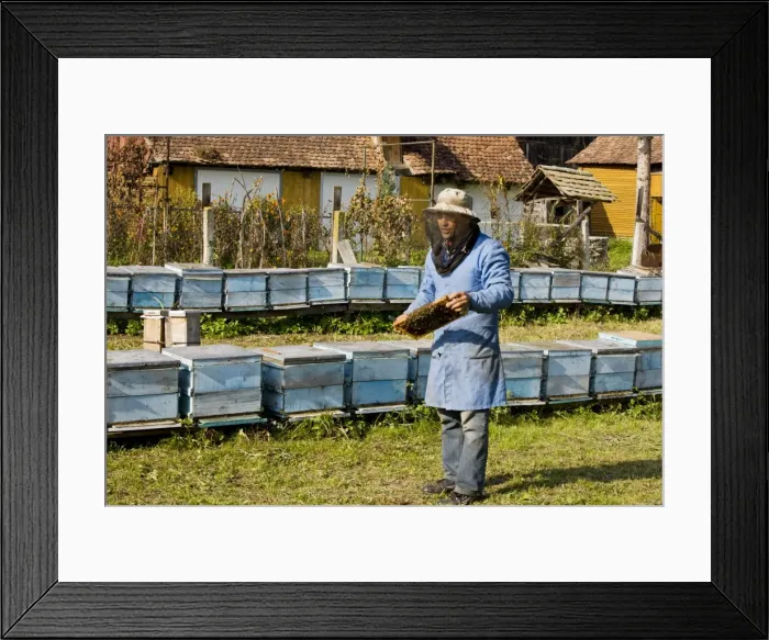 Framed Print : Picture No. 10756700