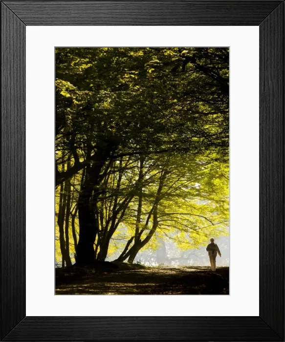Framed Print : Picture No. 10756685 Framed Print : Picture No. 10756685