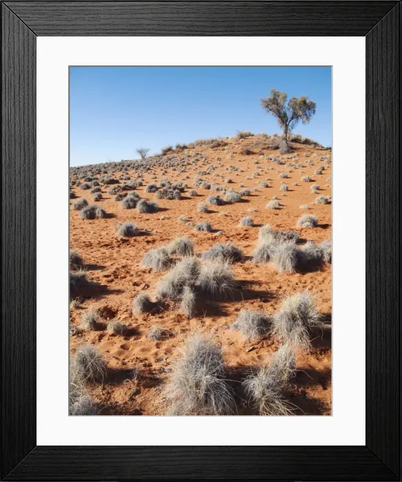 Framed Print : Picture No. 10761253 Framed Print : Picture No. 10761253