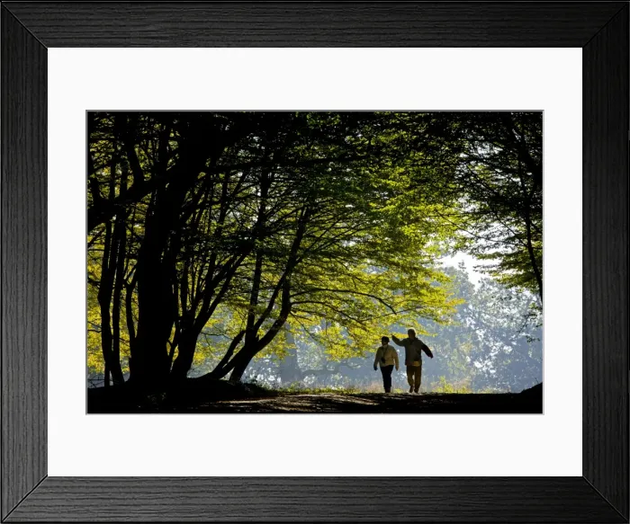 Framed Print : Picture No. 10756686 Framed Print : Picture No. 10756686