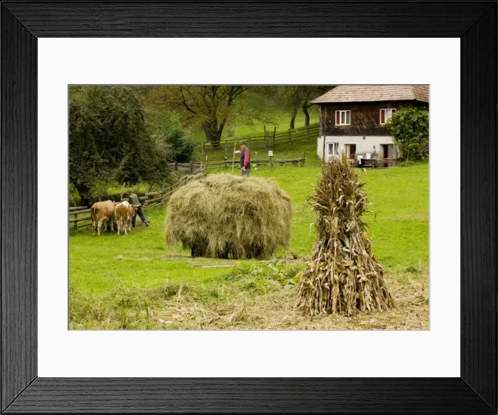 Framed Print : Picture No. 10756708 Framed Print : Picture No. 10756708