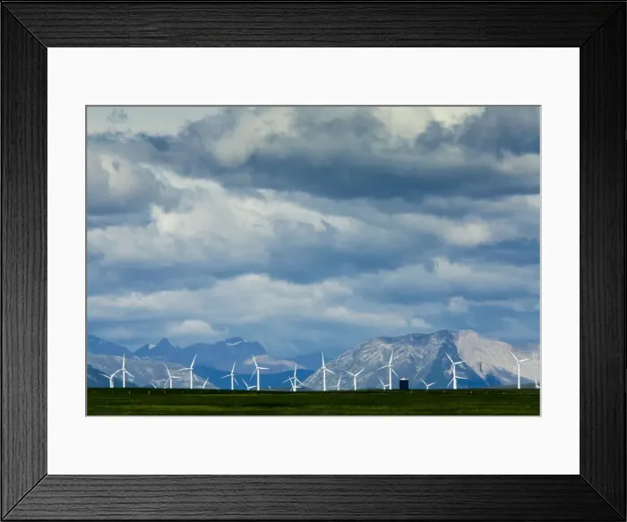 Framed Print : Picture No. 10756615