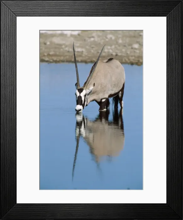 Framed Print : Picture No. 10760560 Framed Print : Picture No. 10760560