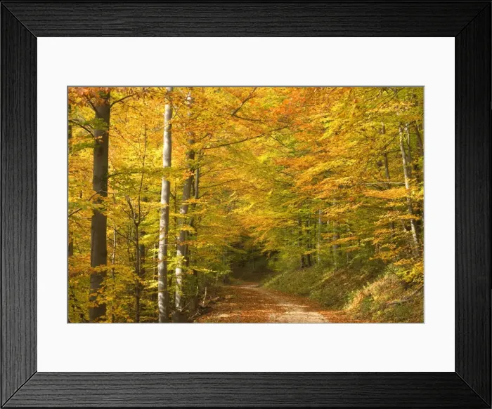 Framed Print : Picture No. 10758083 Framed Print : Picture No. 10758083