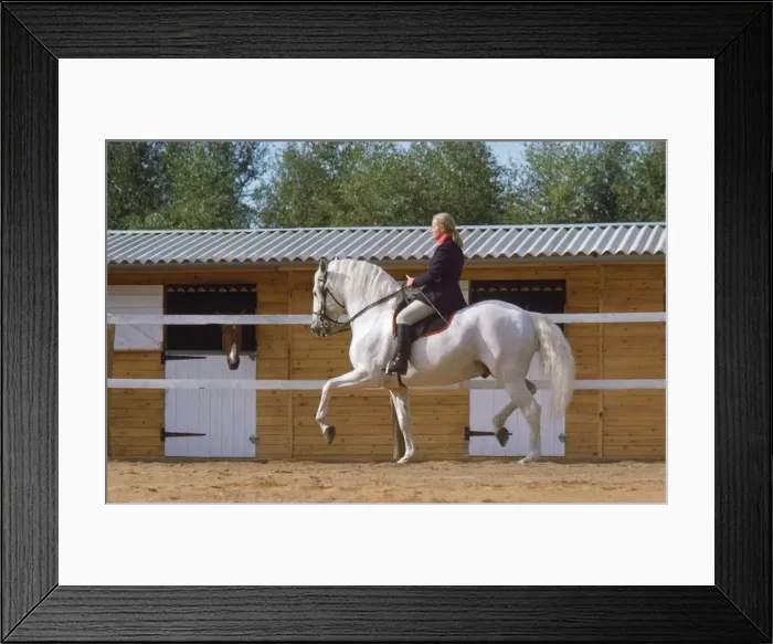 Framed Print : Picture No. 10760519 Framed Print : Picture No. 10760519