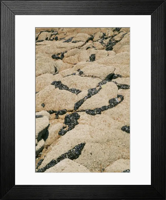 Framed Print : Picture No. 10760550 Framed Print : Picture No. 10760550