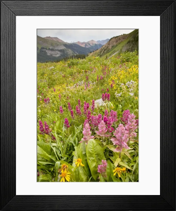 Framed Print : Picture No. 10756346 Framed Print : Picture No. 10756346