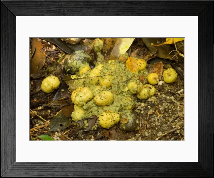 Framed Print : Picture No. 10758205 Framed Print : Picture No. 10758205