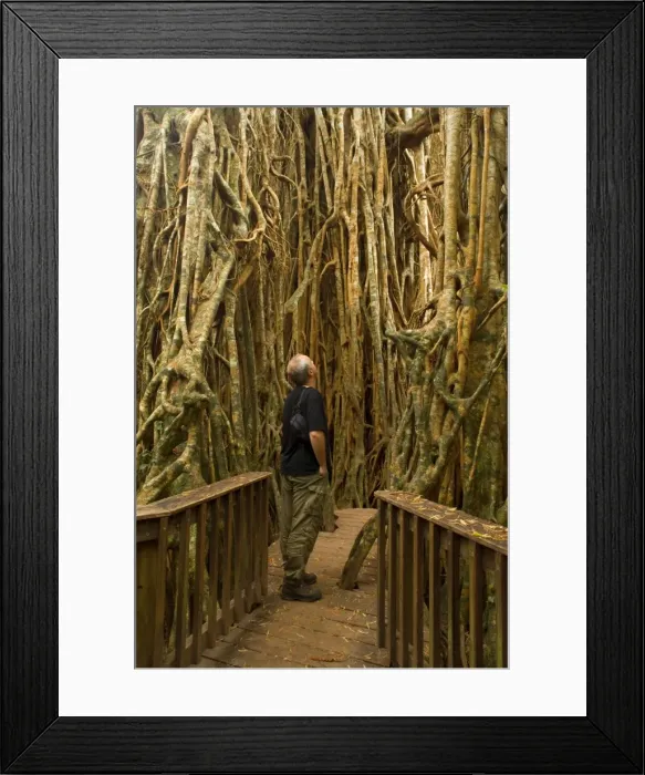 Framed Print : Picture No. 10758350 Framed Print : Picture No. 10758350
