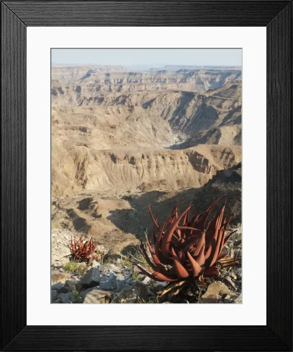 Framed Print : Picture No. 10761259 Framed Print : Picture No. 10761259