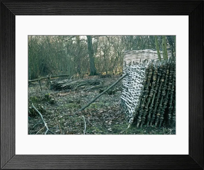 Framed Print : Picture No. 10756921 Framed Print : Picture No. 10756921