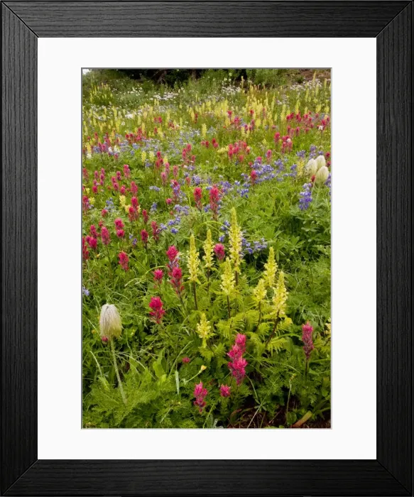 Framed Print : Picture No. 10756361 Framed Print : Picture No. 10756361