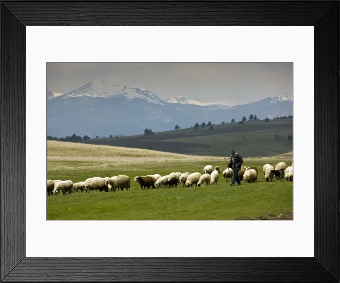 Framed Print : Picture No. 10756778 Framed Print : Picture No. 10756778