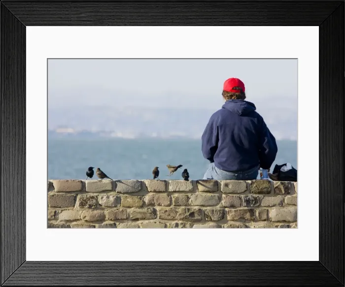 Framed Print : Picture No. 10756735 Framed Print : Picture No. 10756735