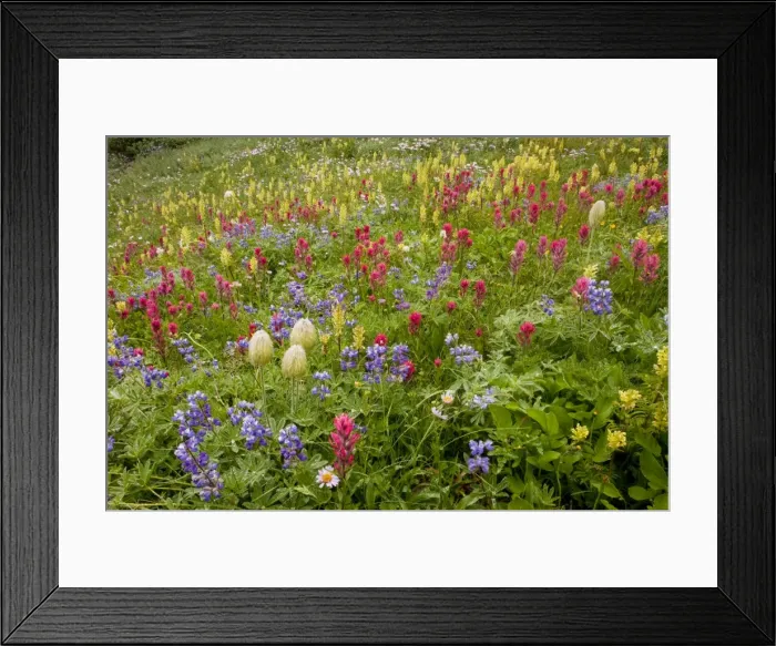 Framed Print : Picture No. 10756362 Framed Print : Picture No. 10756362