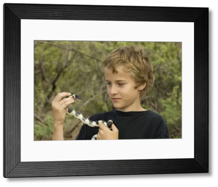 Framed Print : Picture No. 10735841 Framed Print : Picture No. 10735841