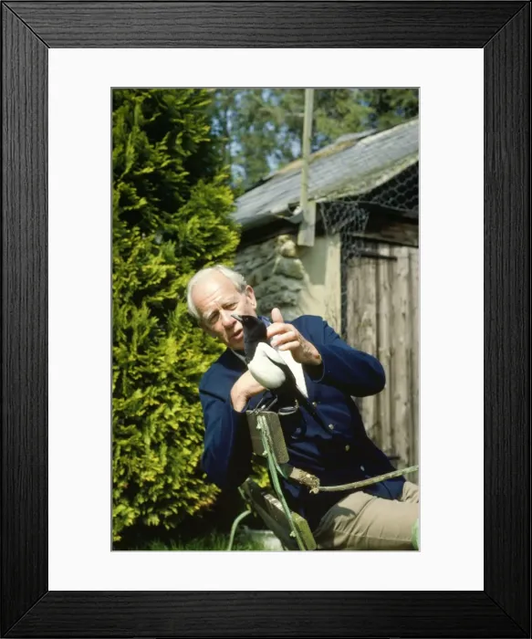Framed Print : Picture No. 10760419 Framed Print : Picture No. 10760419