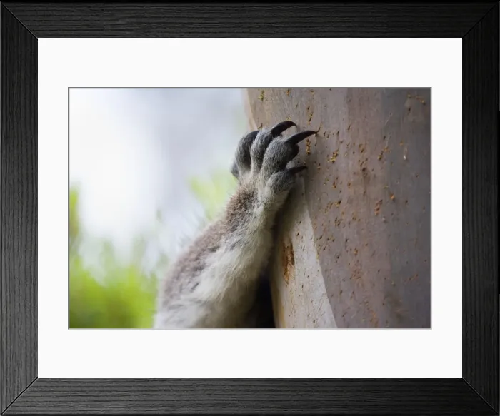Framed Print : Picture No. 10758483 Framed Print : Picture No. 10758483