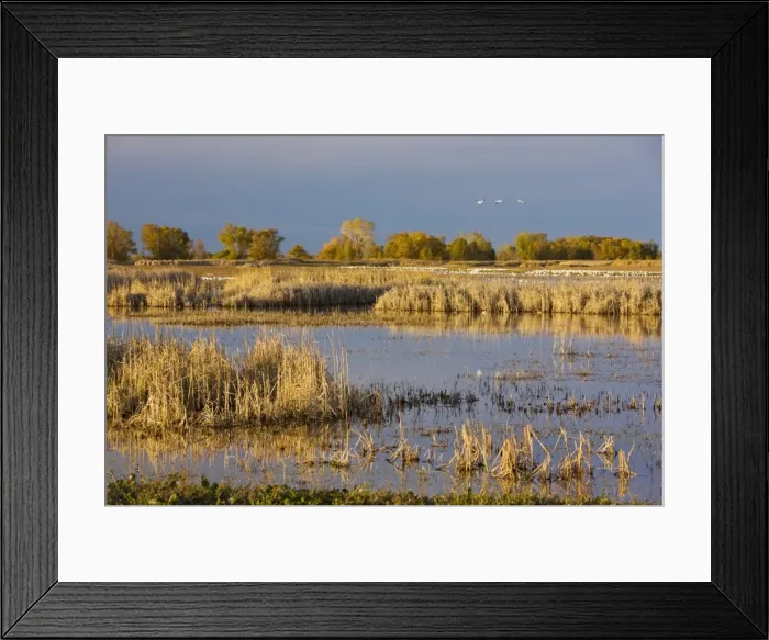 Framed Print : Picture No. 10756425 Framed Print : Picture No. 10756425