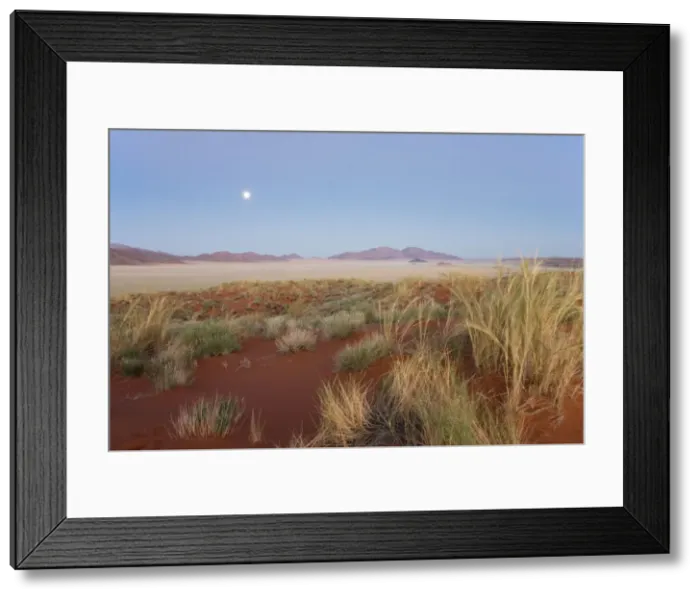 Framed Print : Picture No. 10761287 Framed Print : Picture No. 10761287