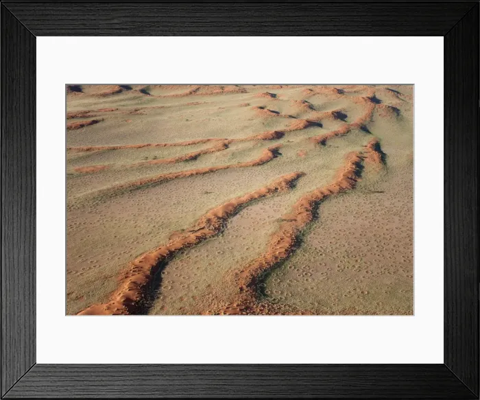 Framed Print : Picture No. 10761295 Framed Print : Picture No. 10761295