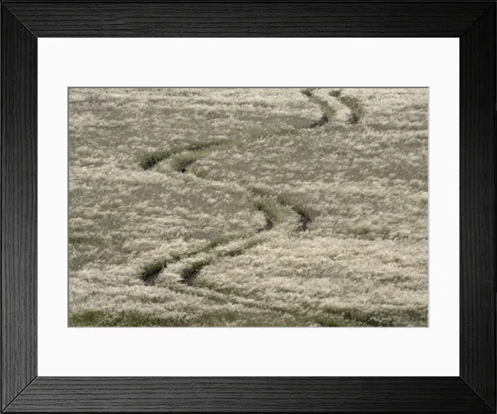 Framed Print : Picture No. 10761322 Framed Print : Picture No. 10761322