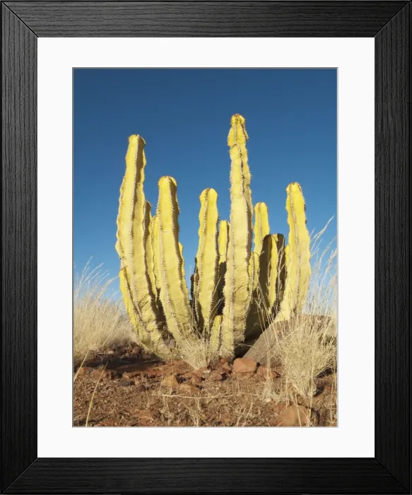 Framed Print : Picture No. 10761331 Framed Print : Picture No. 10761331