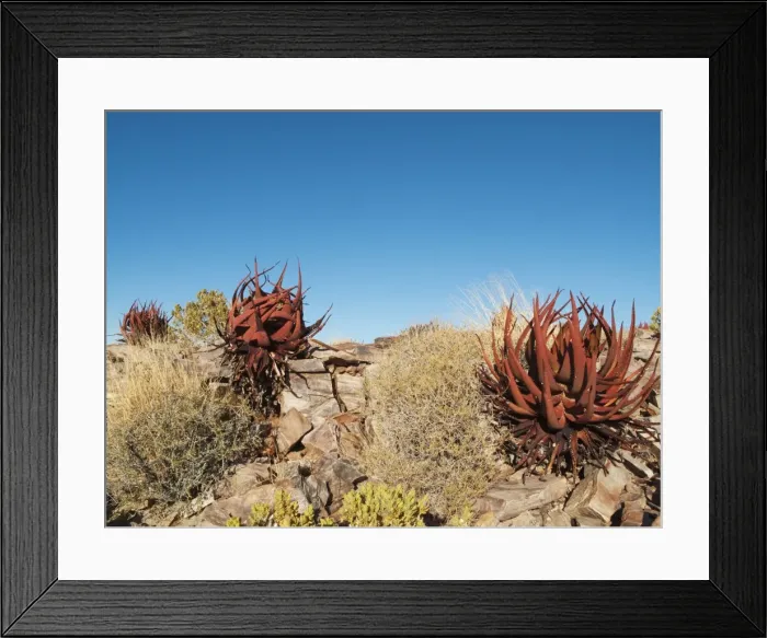 Framed Print : Picture No. 10761338 Framed Print : Picture No. 10761338