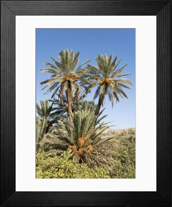 Framed Print : Picture No. 10761386 Framed Print : Picture No. 10761386