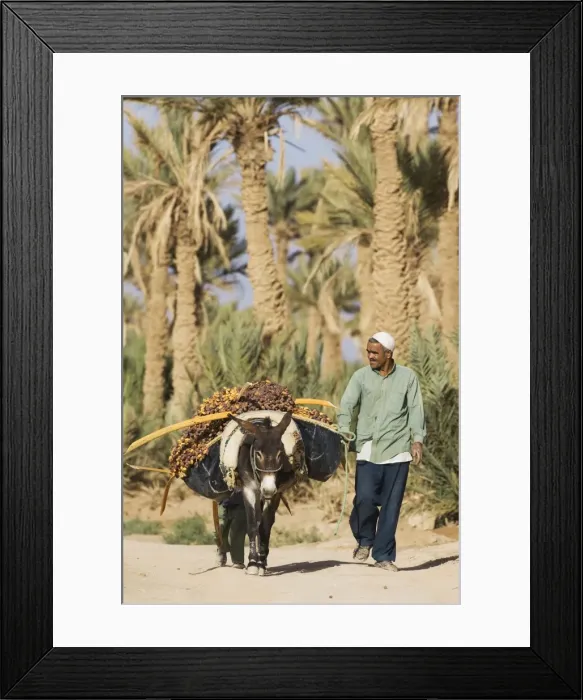Framed Print : Picture No. 10761395 Framed Print : Picture No. 10761395