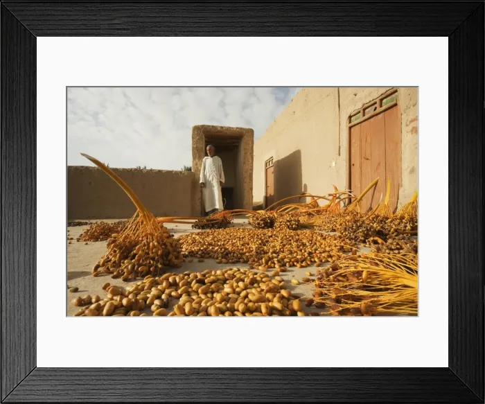 Framed Print : Picture No. 10761398 Framed Print : Picture No. 10761398