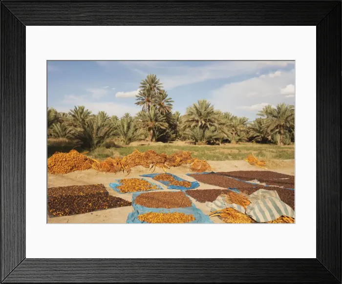 Framed Print : Picture No. 10761399 Framed Print : Picture No. 10761399