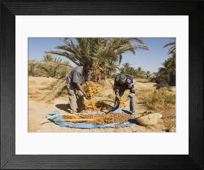 Framed Print : Picture No. 10761391 Framed Print : Picture No. 10761391
