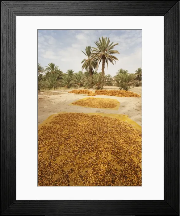 Framed Print : Picture No. 10761400 Framed Print : Picture No. 10761400