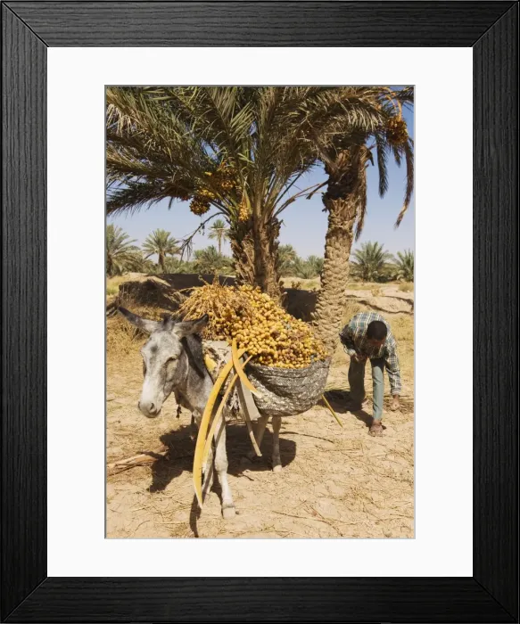 Framed Print : Picture No. 10761394 Framed Print : Picture No. 10761394