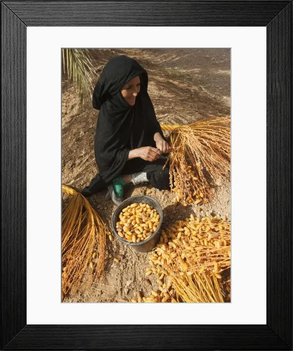 Framed Print : Picture No. 10761396 Framed Print : Picture No. 10761396