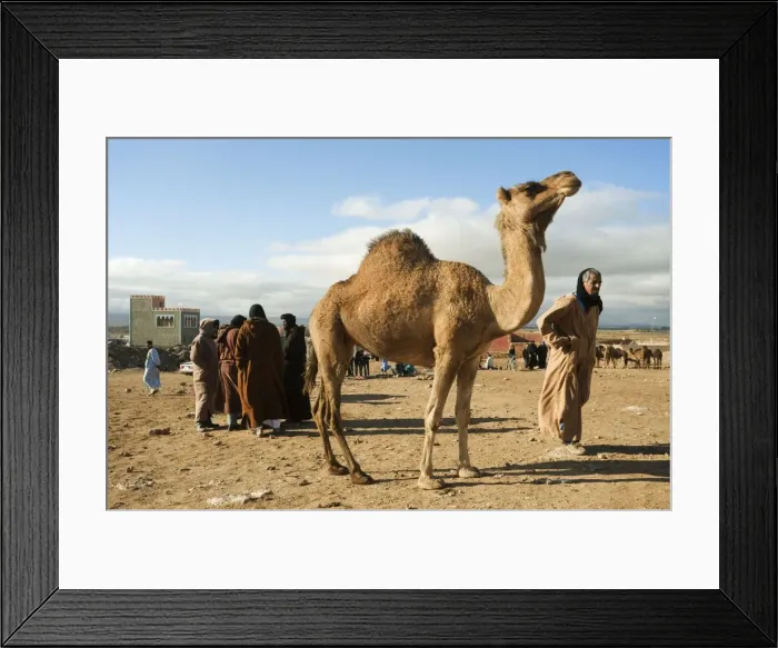 Framed Print : Picture No. 10761403 Framed Print : Picture No. 10761403